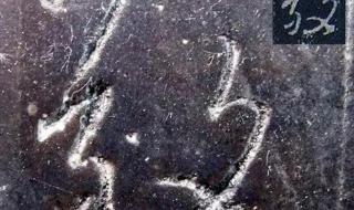 懂王是什么意思